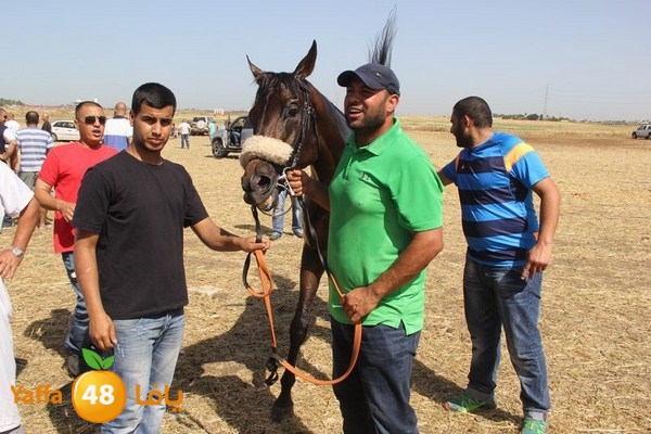 horse race 0602 (57).JPG